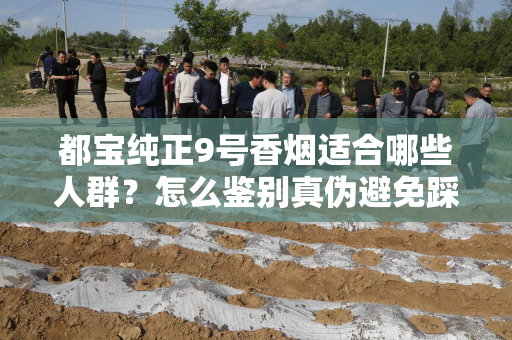 都宝纯正9号香烟适合哪些人群？怎么鉴别真伪避免踩坑？